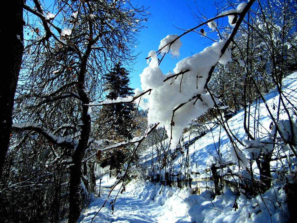 Elisabeth 4* Serfaus