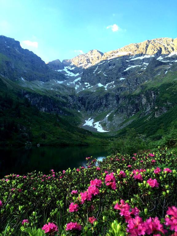 Elisabeth Inkl Der Super Sommer Card Im Sommer 2025 4* Serfaus